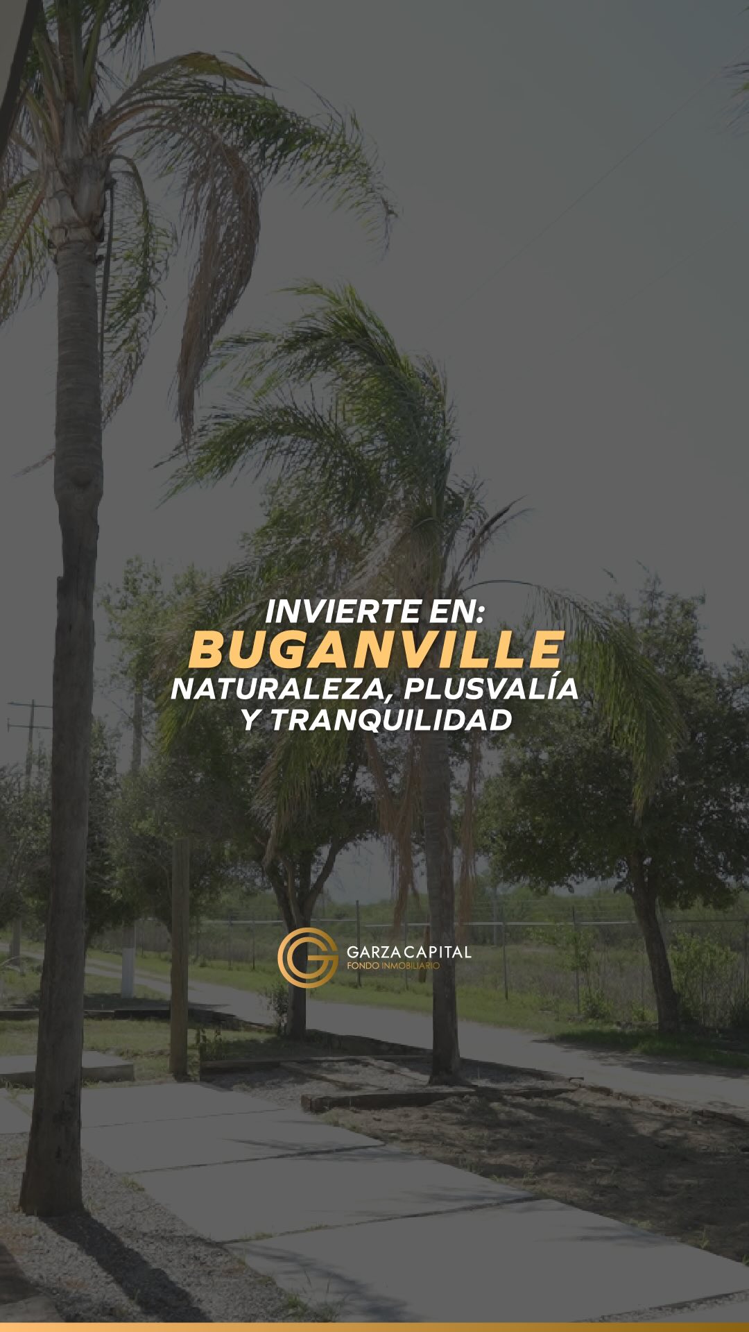 469716337_17918187582010097_5585382524161065490_n